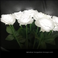 Rose Artificial Flower Light